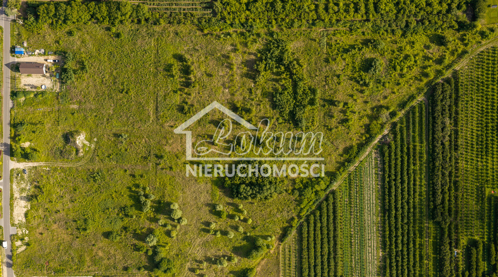 Działka budowlana 6985 m², Binowo - zdjęcie 7