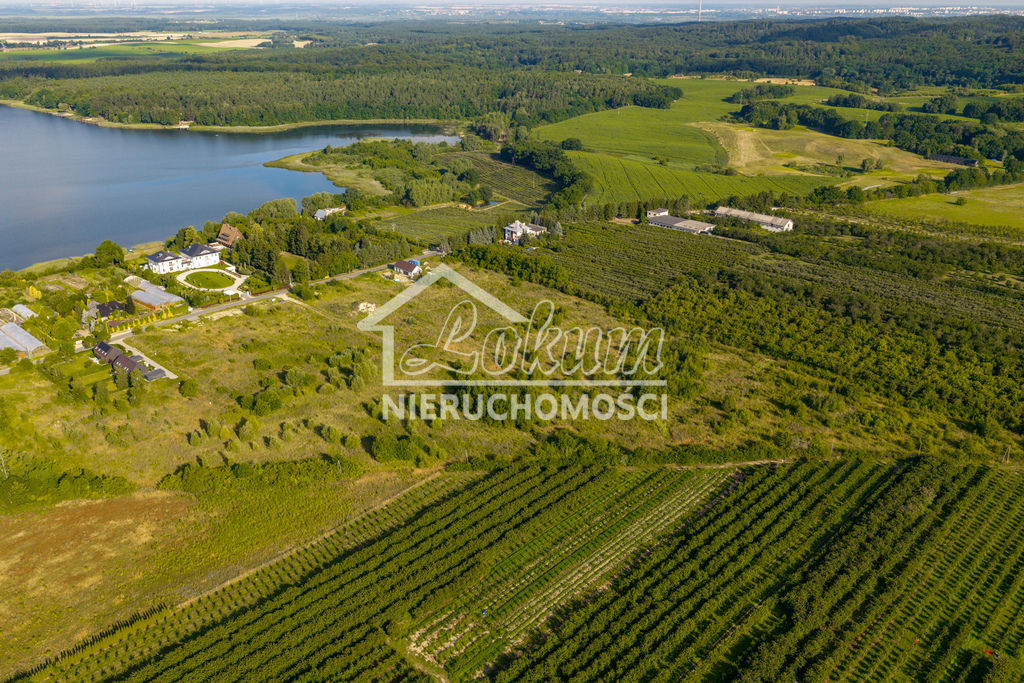 Działka budowlana 6985 m², Binowo - zdjęcie 3