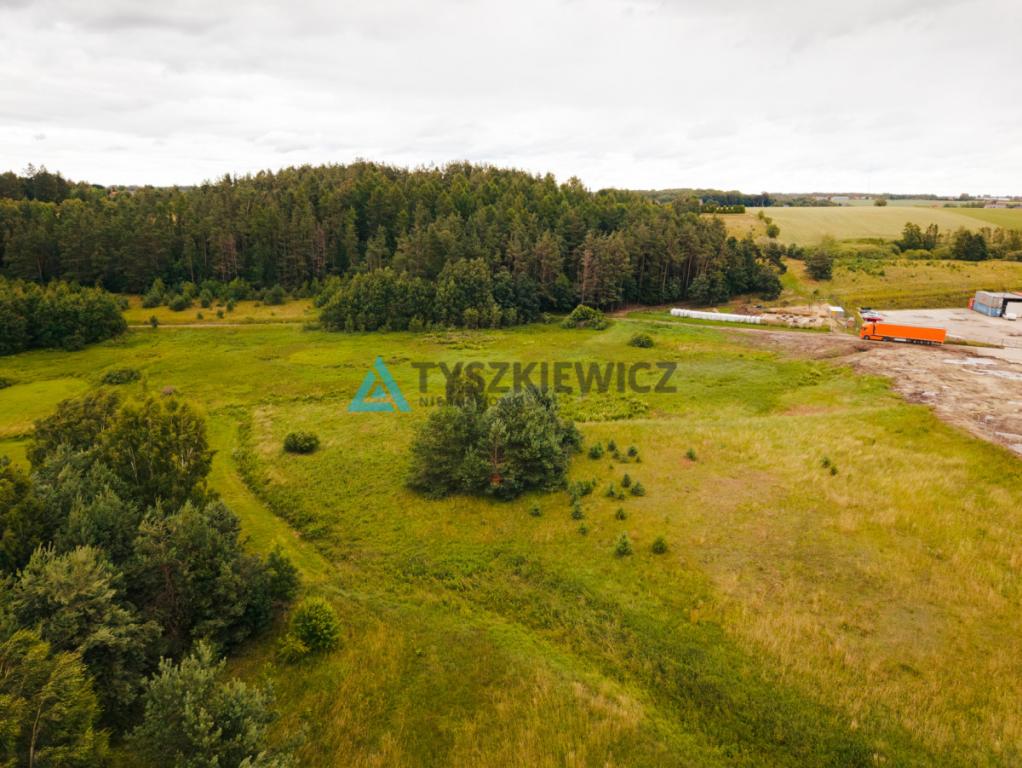 Teren inwestycyjny ponad 2 ha - zdjęcie 9
