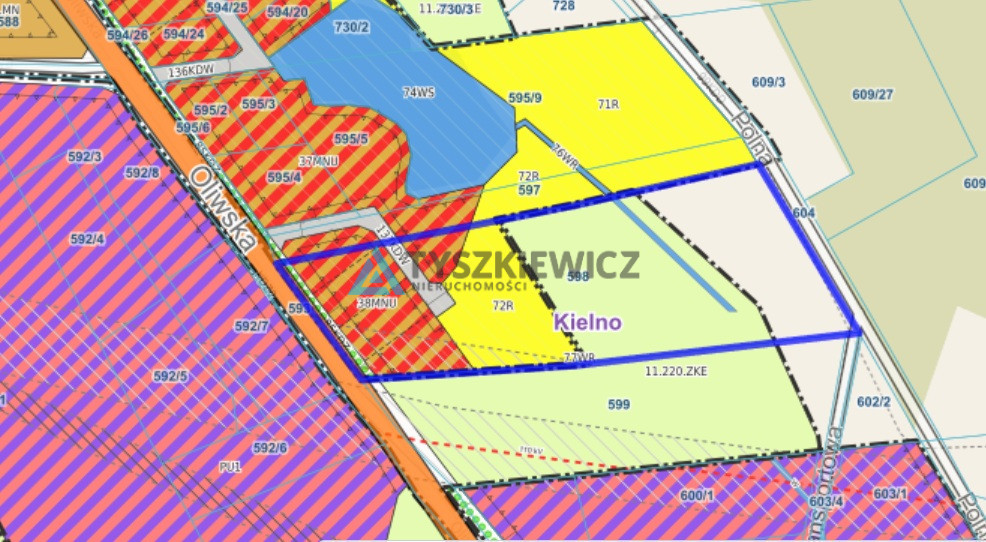 Teren inwestycyjny ponad 2 ha - zdjęcie 15