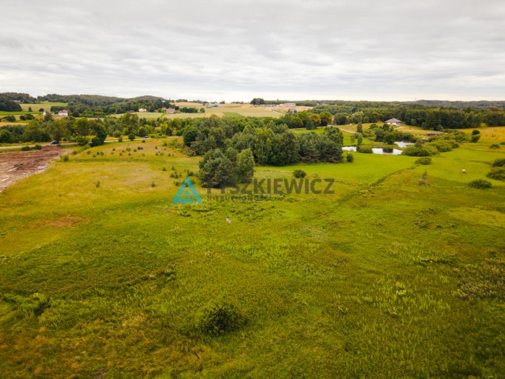Teren inwestycyjny ponad 2 ha - zdjęcie 6