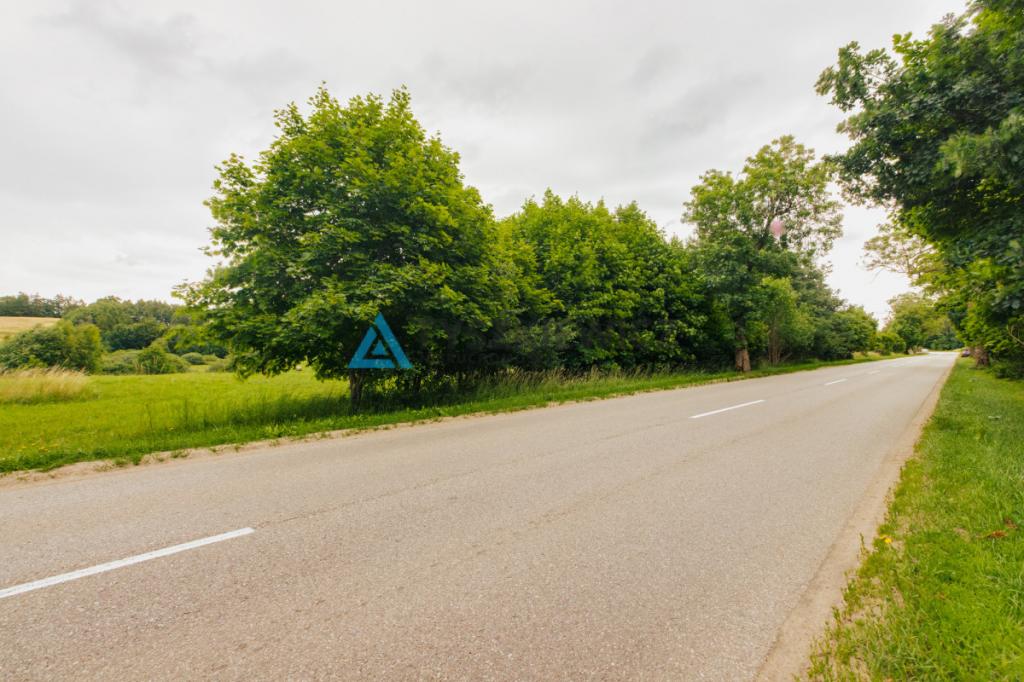 Teren inwestycyjny ponad 2 ha - zdjęcie 14