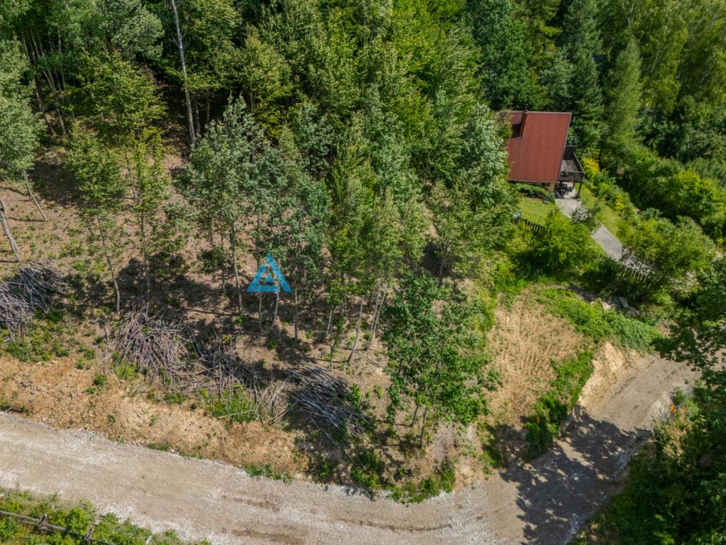 Piękna działka na Kaszubach z widokiem na Jezioro - zdjęcie 10