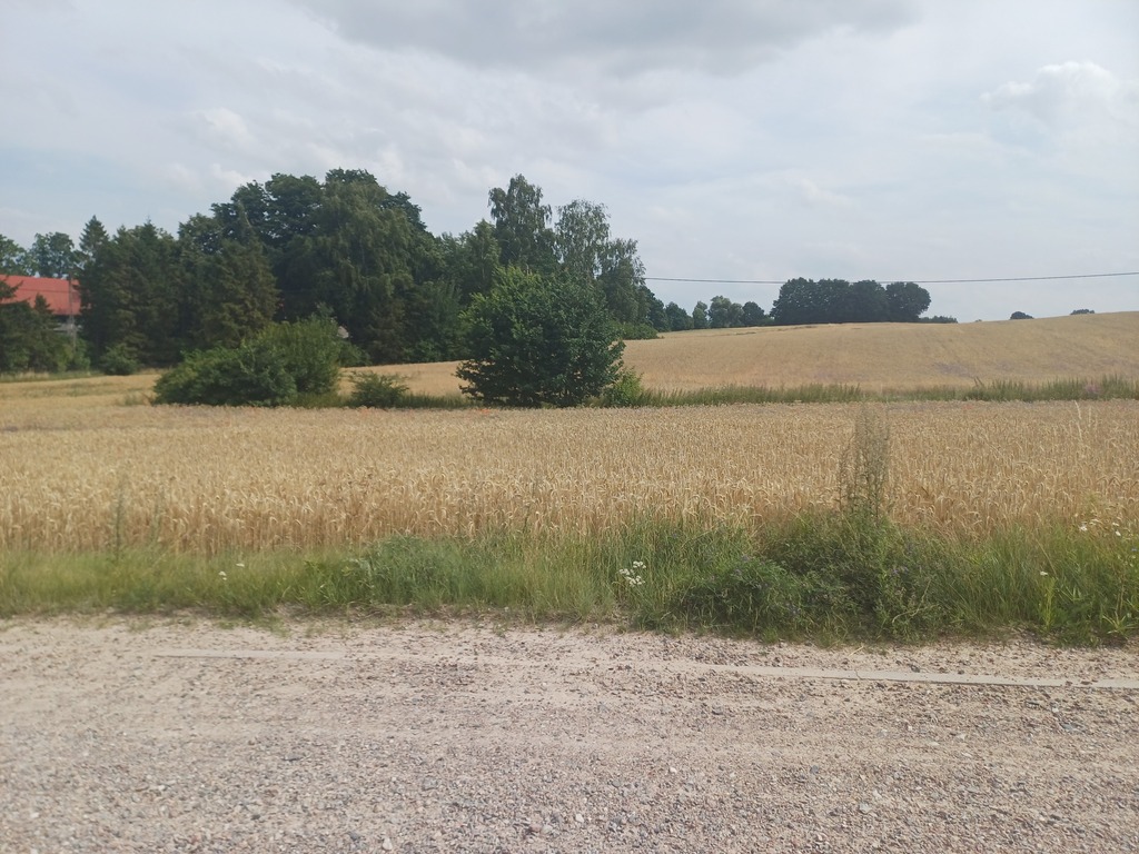 Działka budowlana 1004 m², Żukowo - zdjęcie 2