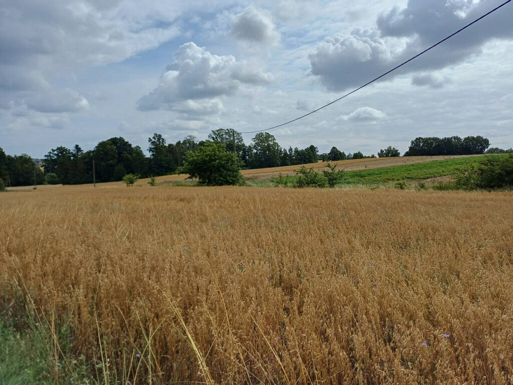 Działka budowlana 1004 m², Żukowo - zdjęcie 10