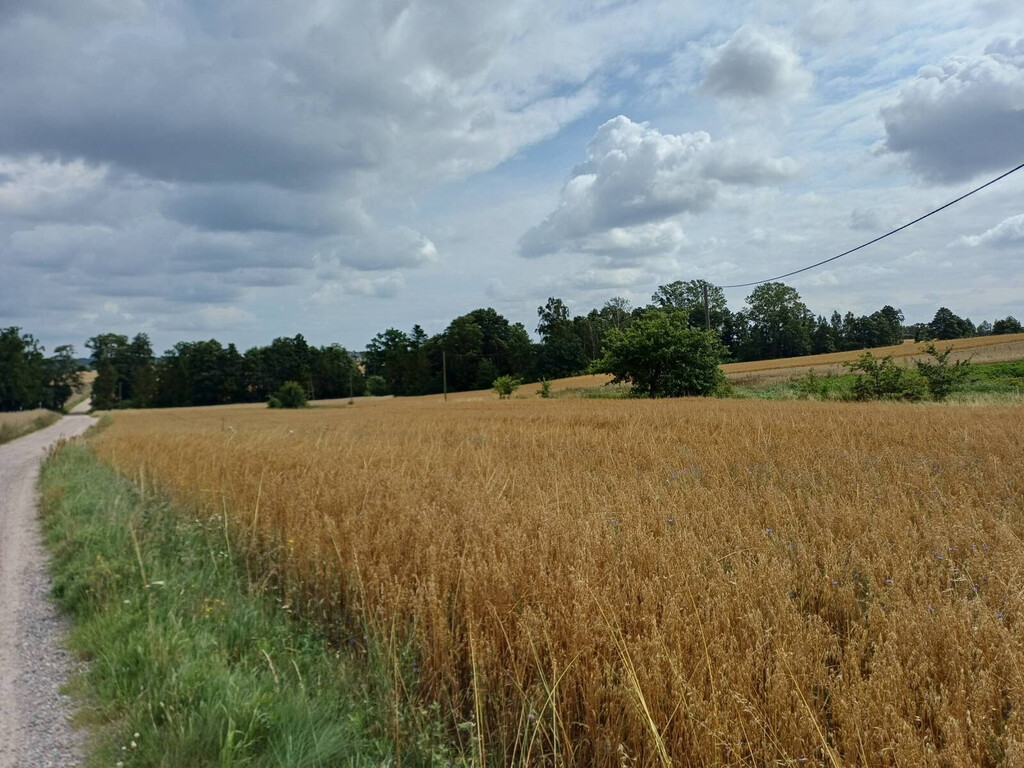 Działka budowlana 1004 m², Żukowo - zdjęcie 9