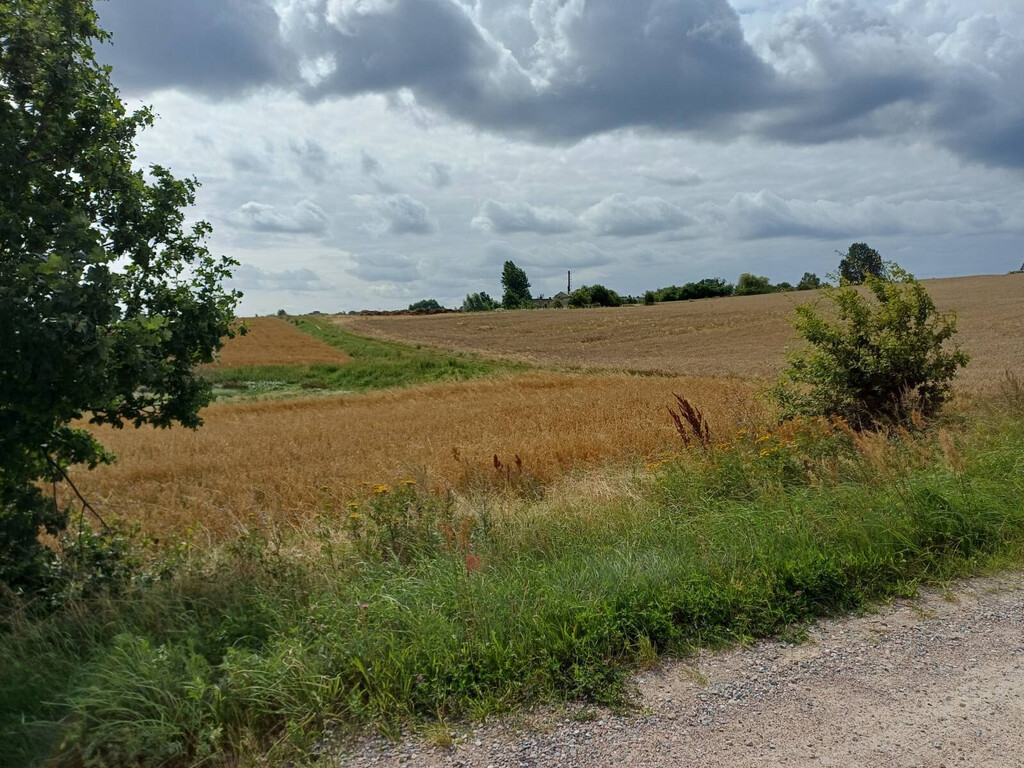 Działka budowlana 1004 m², Żukowo - zdjęcie 11