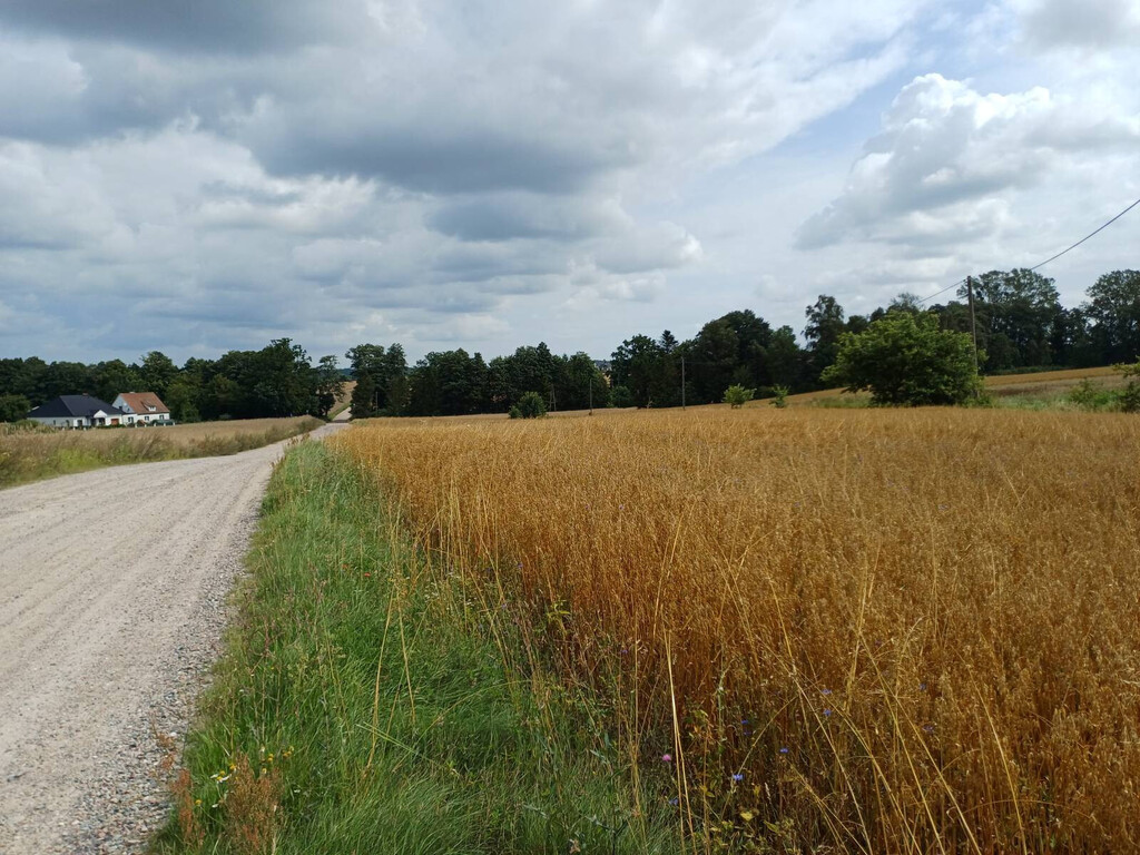 Działka budowlana 1004 m², Żukowo - zdjęcie 5