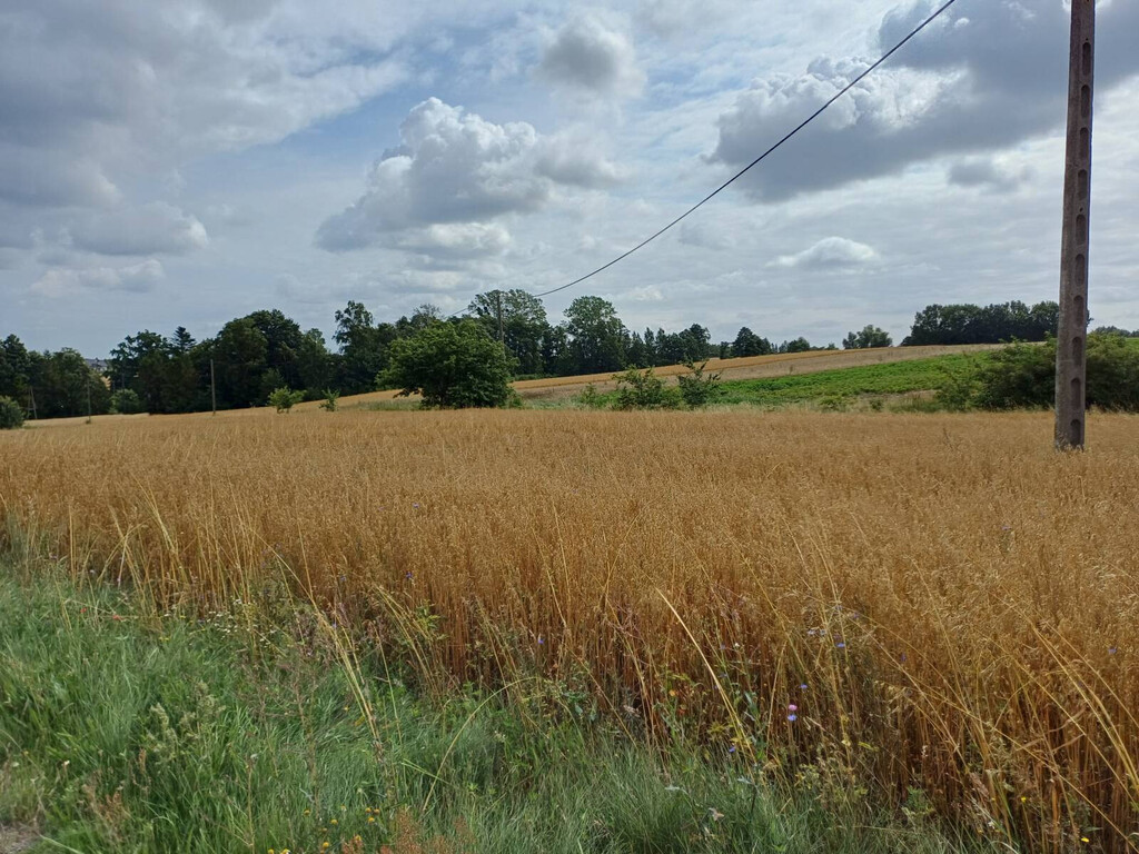 Działka budowlana 1004 m², Żukowo - zdjęcie 7