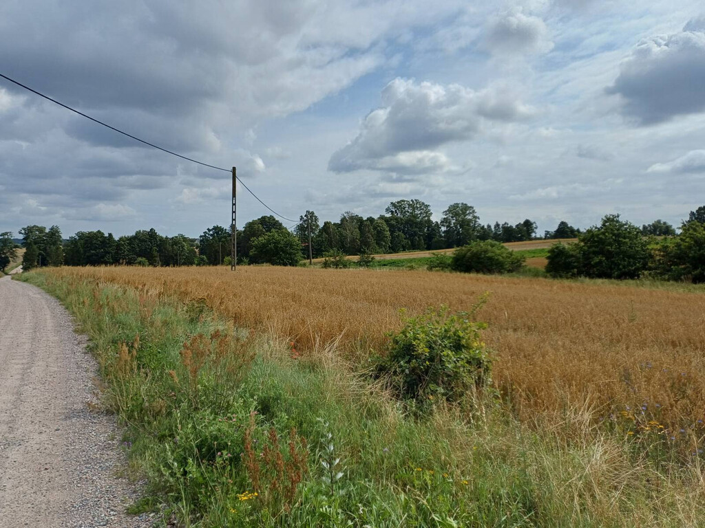 Działka budowlana 1004 m², Żukowo - zdjęcie 12