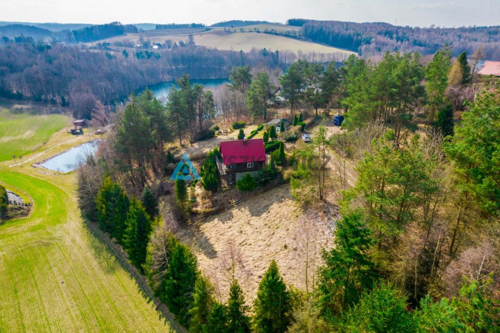 Działka rekreacyjna na Kaszubach wśród jezior - zdjęcie 4