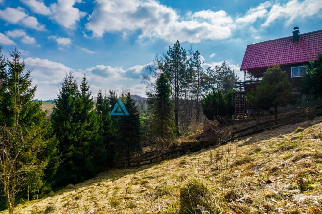 Działka rekreacyjna na Kaszubach wśród jezior - zdjęcie 12