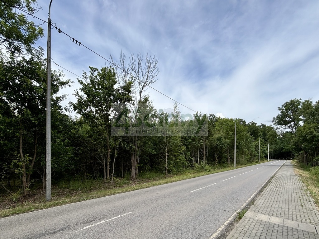 Działka budowlana 3,73&nbsp;ha, Runów - zdjęcie 3