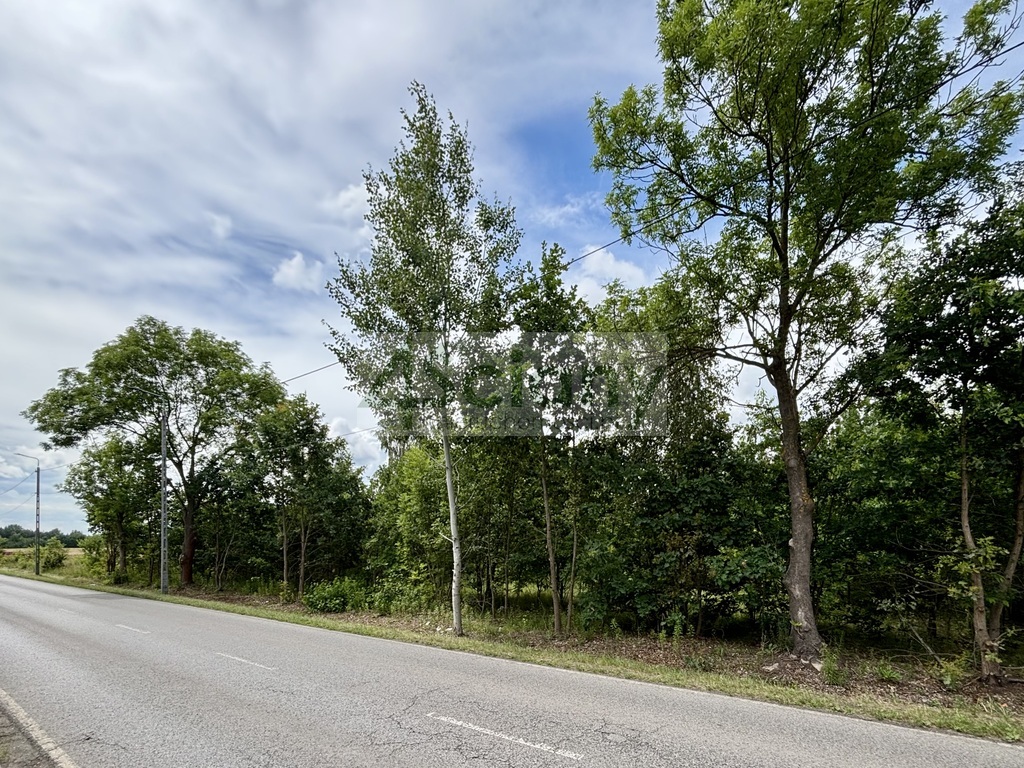 Działka budowlana 3,73&nbsp;ha, Runów - zdjęcie 2