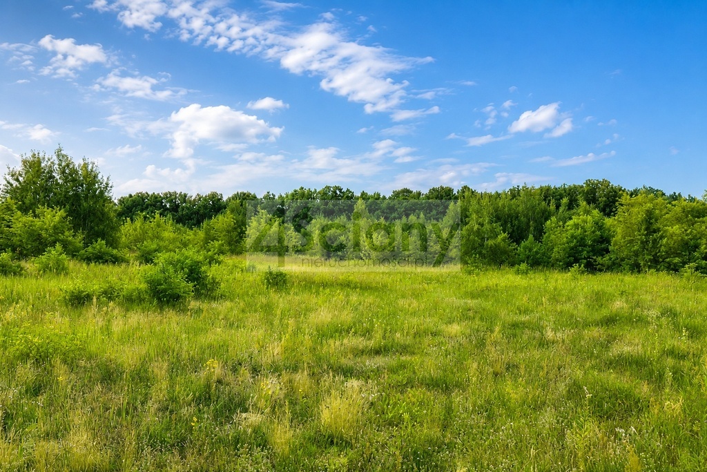 Działka budowlana 3,73&nbsp;ha, Runów - zdjęcie 1