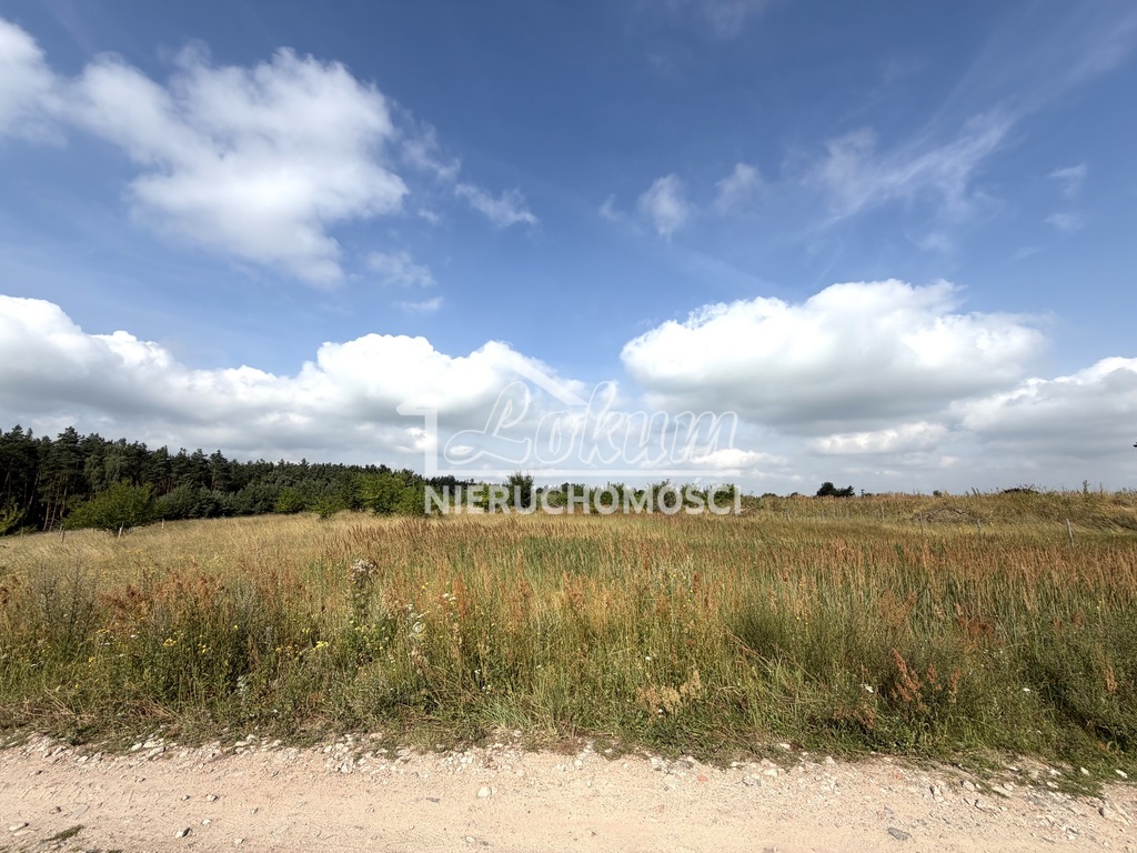 Działka budowlana 1189&nbsp;m², Daleszewo - zdjęcie 1