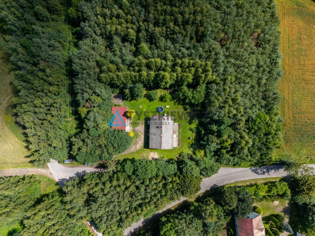 Siedlisko z potencjałem w Wysinie - zdjęcie 13