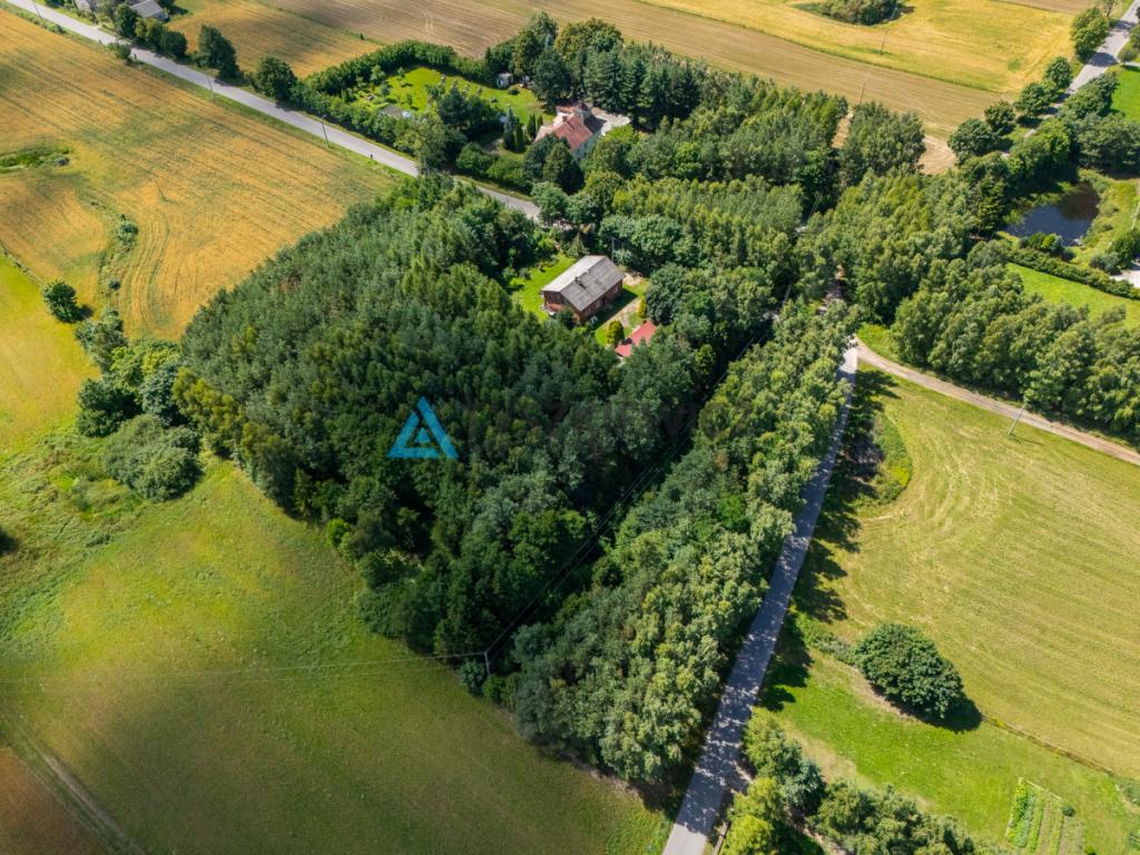 Siedlisko z potencjałem w Wysinie - zdjęcie 16