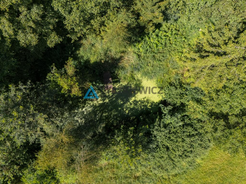 Siedlisko z potencjałem w Wysinie - zdjęcie 20