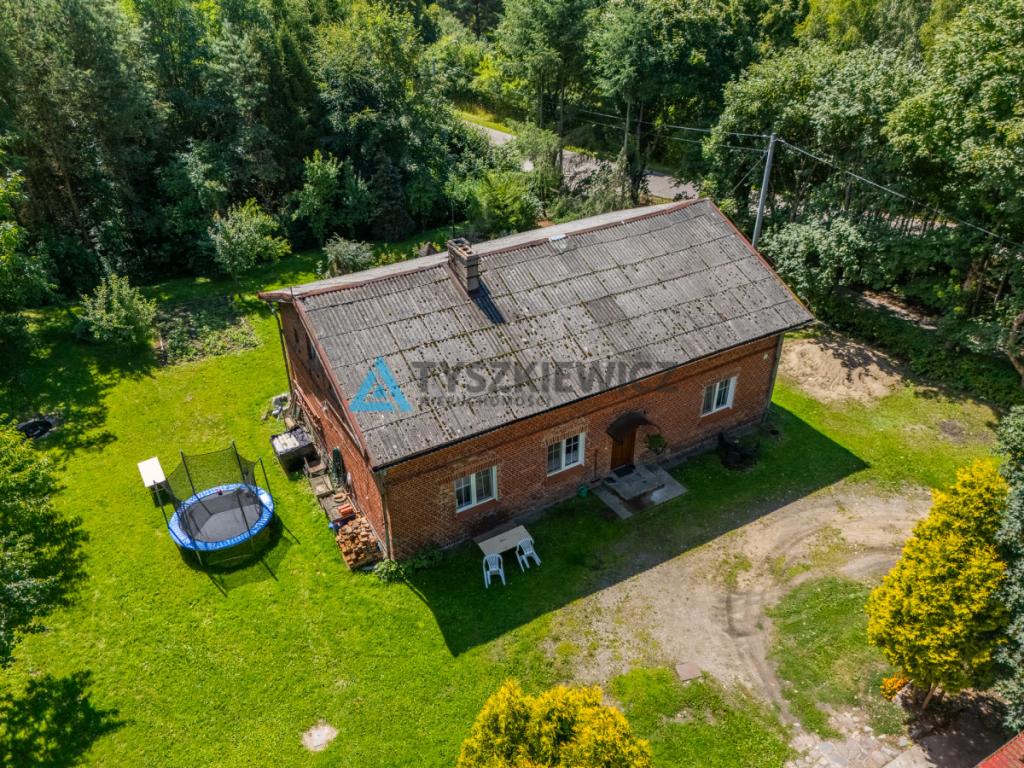 Siedlisko z potencjałem w Wysinie - zdjęcie 21