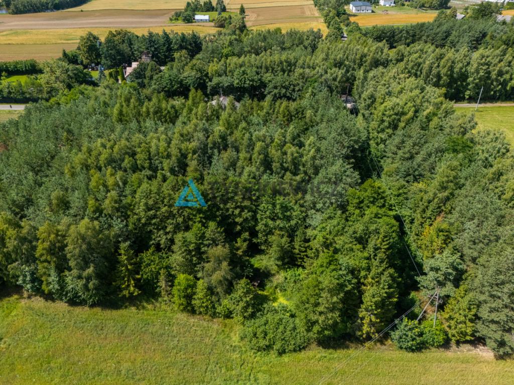 Siedlisko z potencjałem w Wysinie - zdjęcie 19