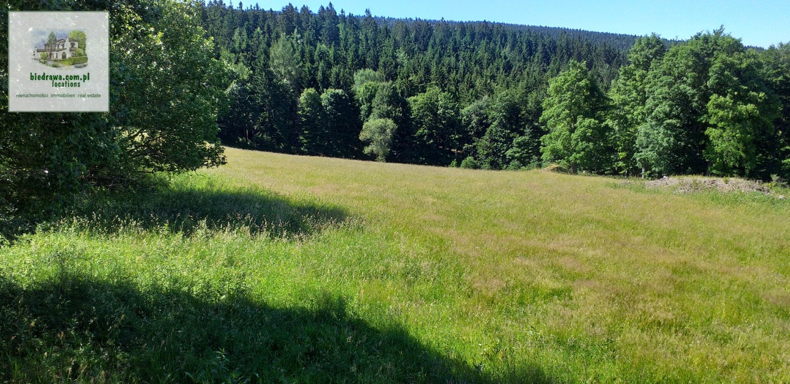 Zieleniec - atrakcyjna działka inwestycyjna (wymaga WZ) - zdjęcie 2