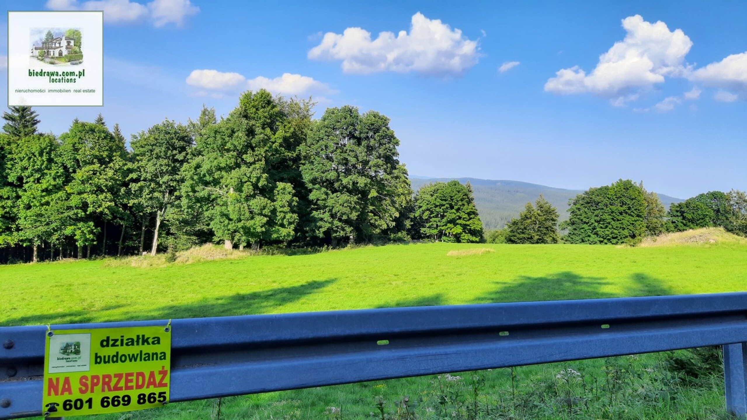 Zieleniec - atrakcyjna działka inwestycyjna lub budowlana (wymaga WZ) - zdjęcie 5
