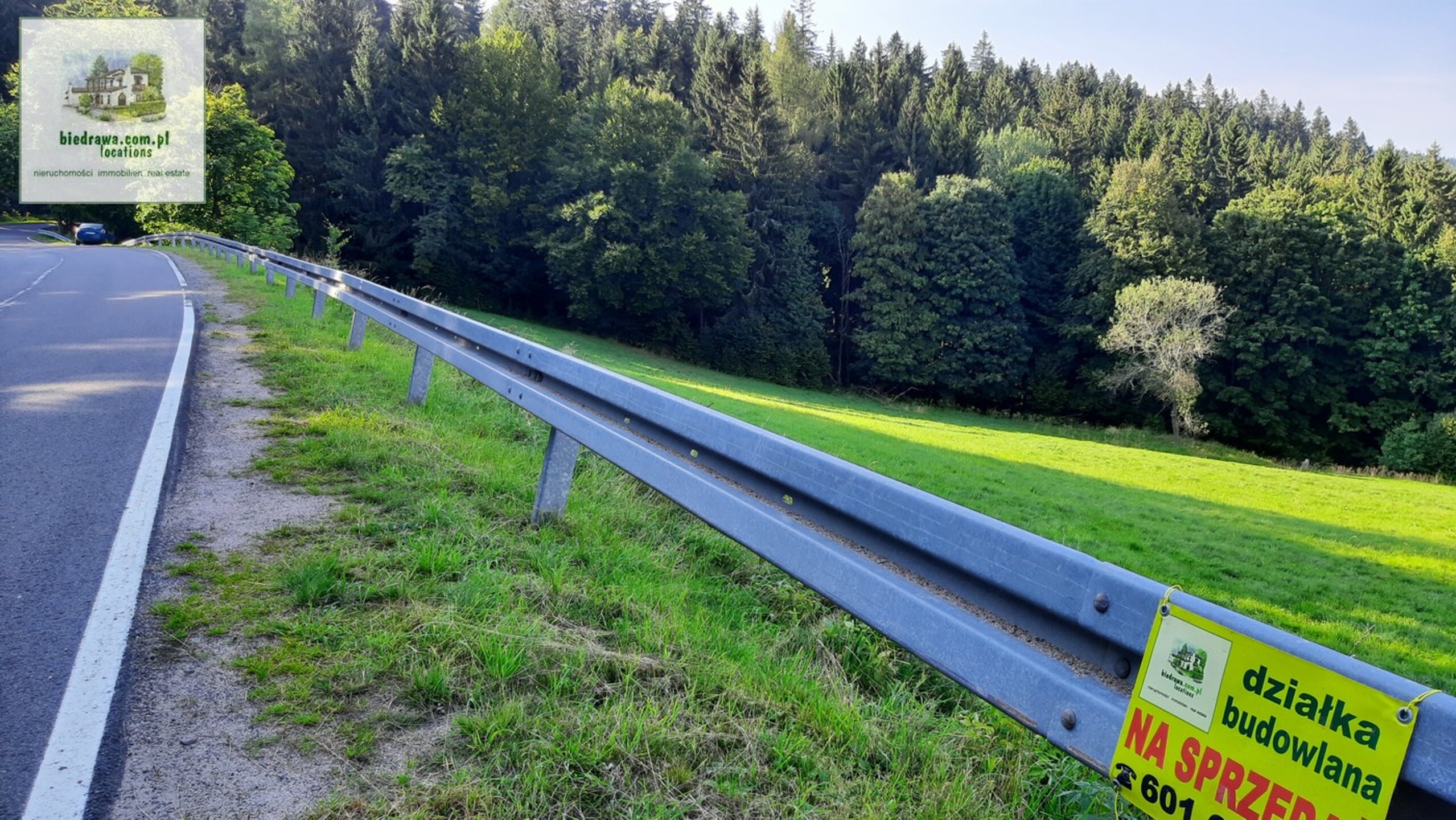 Zieleniec - atrakcyjna działka inwestycyjna lub budowlana (wymaga WZ) - zdjęcie 6