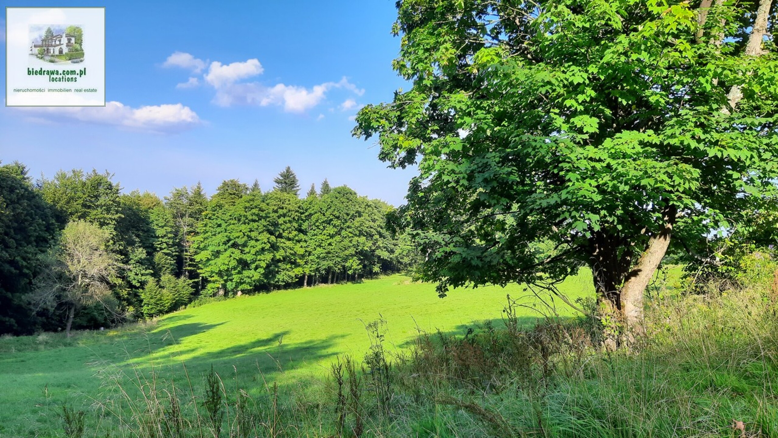 Zieleniec - atrakcyjna działka inwestycyjna lub budowlana (wymaga WZ) - zdjęcie 10