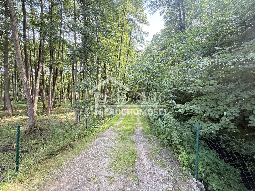 Działka rekreacyjna 5407&nbsp;m², Oświno - zdjęcie 19