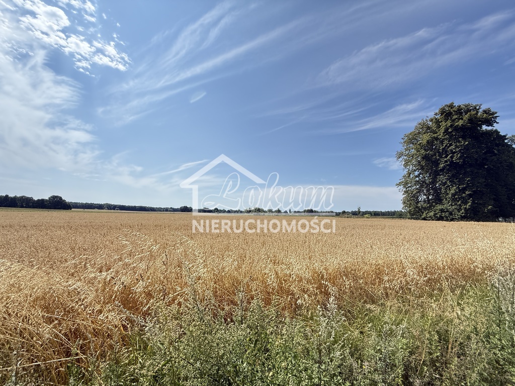 Działka rekreacyjna 5407&nbsp;m², Oświno - zdjęcie 18
