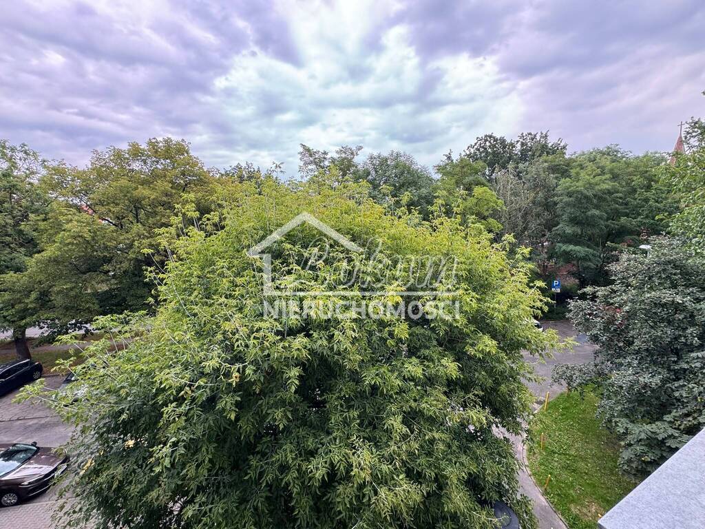 Mieszkanie 31 m², Szczecin - zdjęcie 11