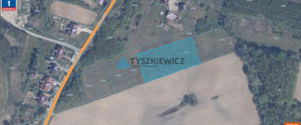 Działki w sercu Kaszub, blisko jeziora i lasu - zdjęcie 16