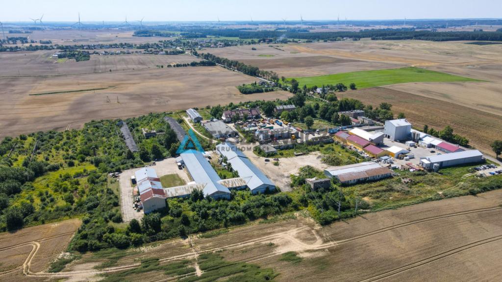 MAGAZYN / HALA 1300 m² NA WYNAJEM-RAJKOWY 7 KM A1 - zdjęcie 19