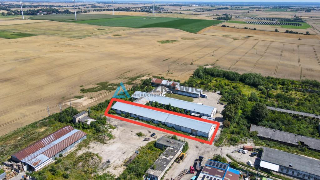 MAGAZYN / HALA 1300 m² NA WYNAJEM-RAJKOWY 7 KM A1 - zdjęcie 2