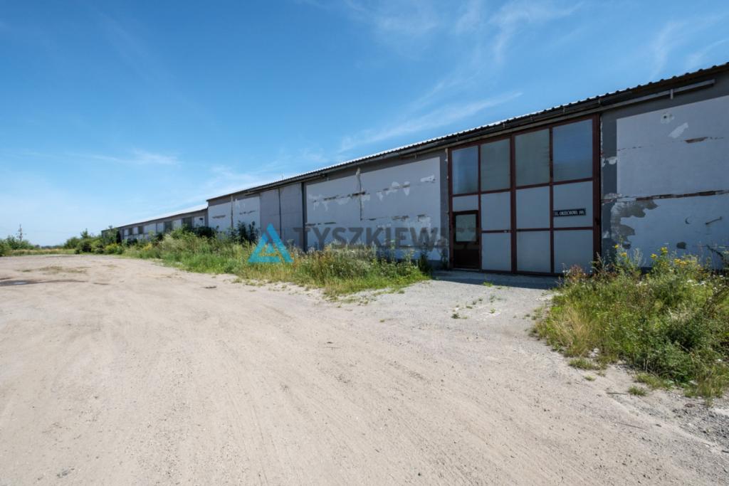 MAGAZYN / HALA 1300 m² NA WYNAJEM-RAJKOWY 7 KM A1 - zdjęcie 16
