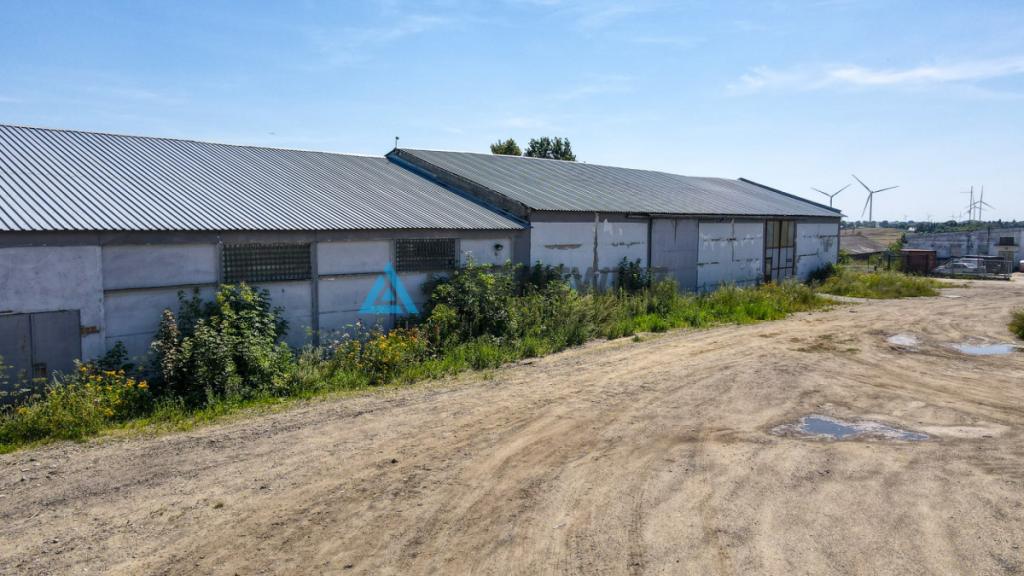 MAGAZYN / HALA 1300 m² NA WYNAJEM-RAJKOWY 7 KM A1 - zdjęcie 14