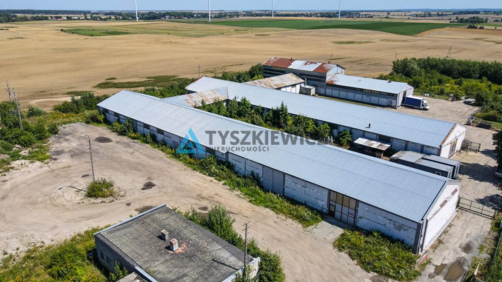 MAGAZYN / HALA 1300 m² NA WYNAJEM-RAJKOWY 7 KM A1 - zdjęcie 5
