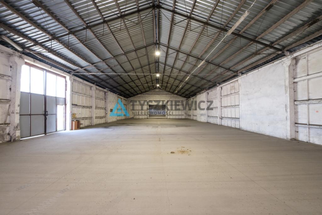 MAGAZYN / HALA 1300 m² NA WYNAJEM-RAJKOWY 7 KM A1 - zdjęcie 7