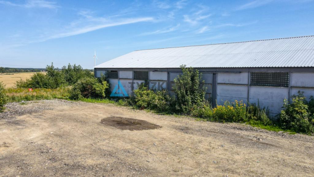 MAGAZYN / HALA 1300 m² NA WYNAJEM-RAJKOWY 7 KM A1 - zdjęcie 15