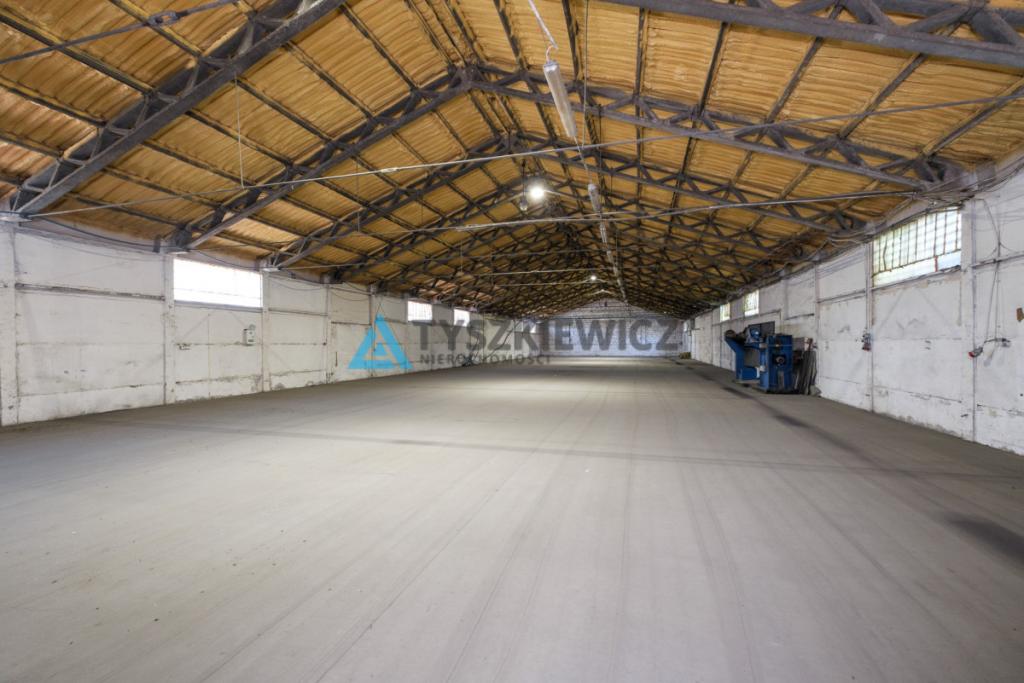 MAGAZYN / HALA 1300 m² NA WYNAJEM-RAJKOWY 7 KM A1 - zdjęcie 10