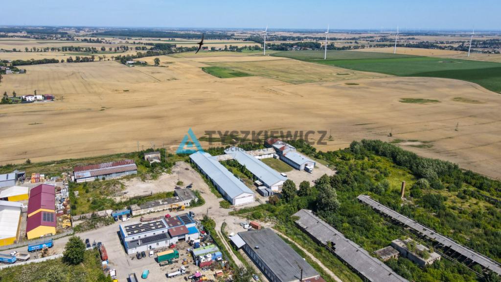MAGAZYN / HALA 1300 m² NA WYNAJEM-RAJKOWY 7 KM A1 - zdjęcie 17