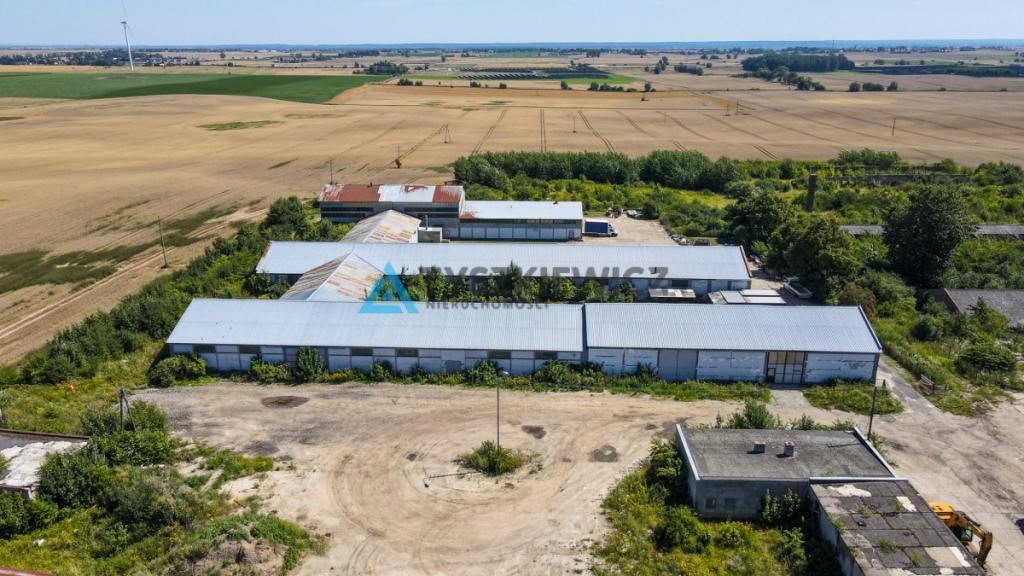 MAGAZYN / HALA 1300 m² NA WYNAJEM-RAJKOWY 7 KM A1 - zdjęcie 3