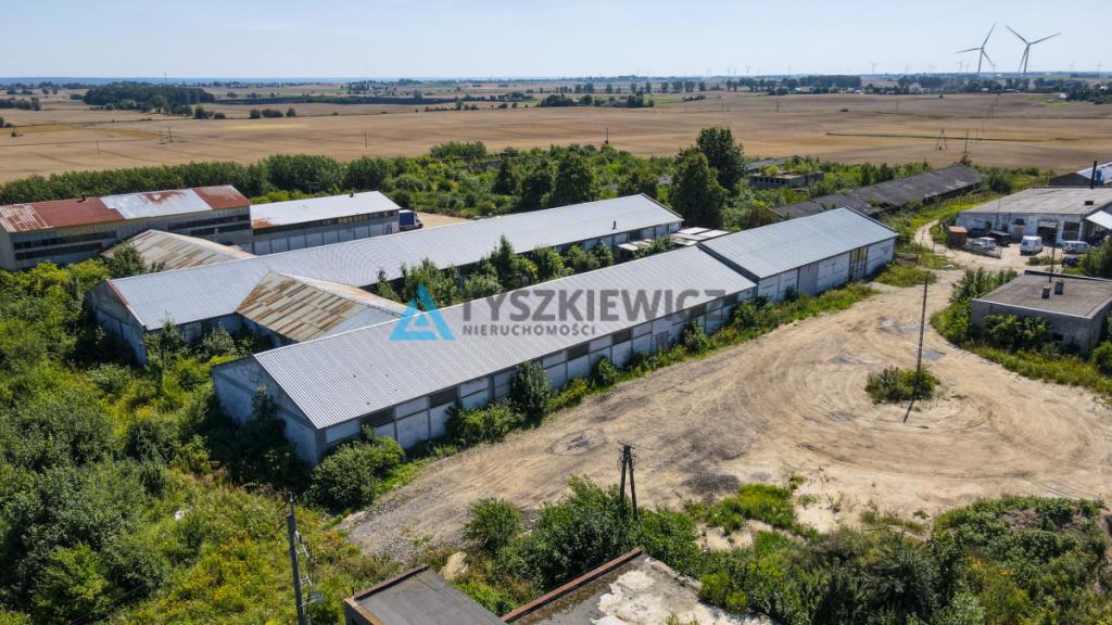 MAGAZYN / HALA 1300 m² NA WYNAJEM-RAJKOWY 7 KM A1 - zdjęcie 4