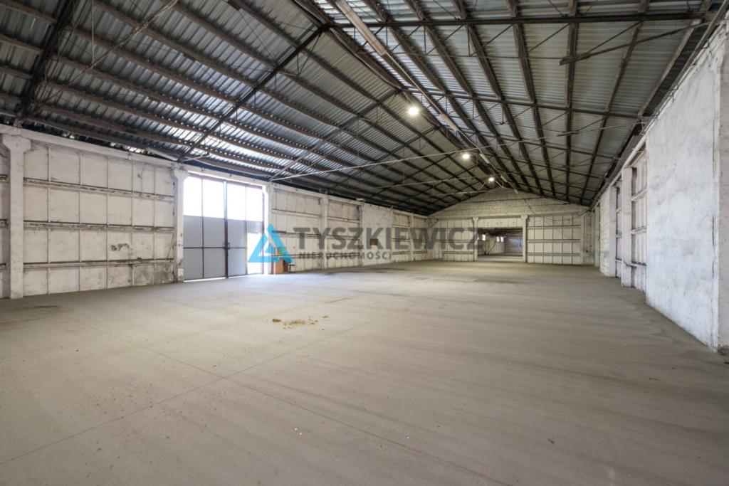 MAGAZYN / HALA 1300 m² NA WYNAJEM-RAJKOWY 7 KM A1 - zdjęcie 8