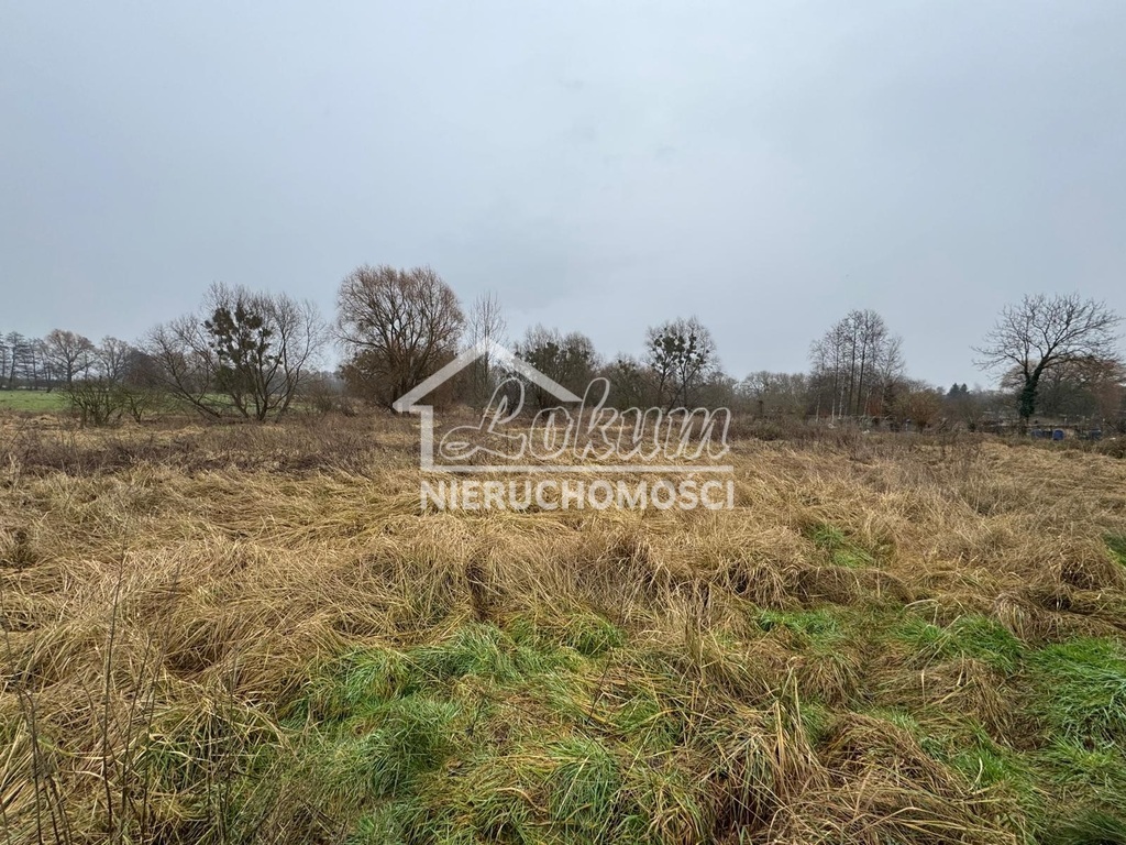 Działka budowlana 2437&nbsp;m², Police - zdjęcie 4