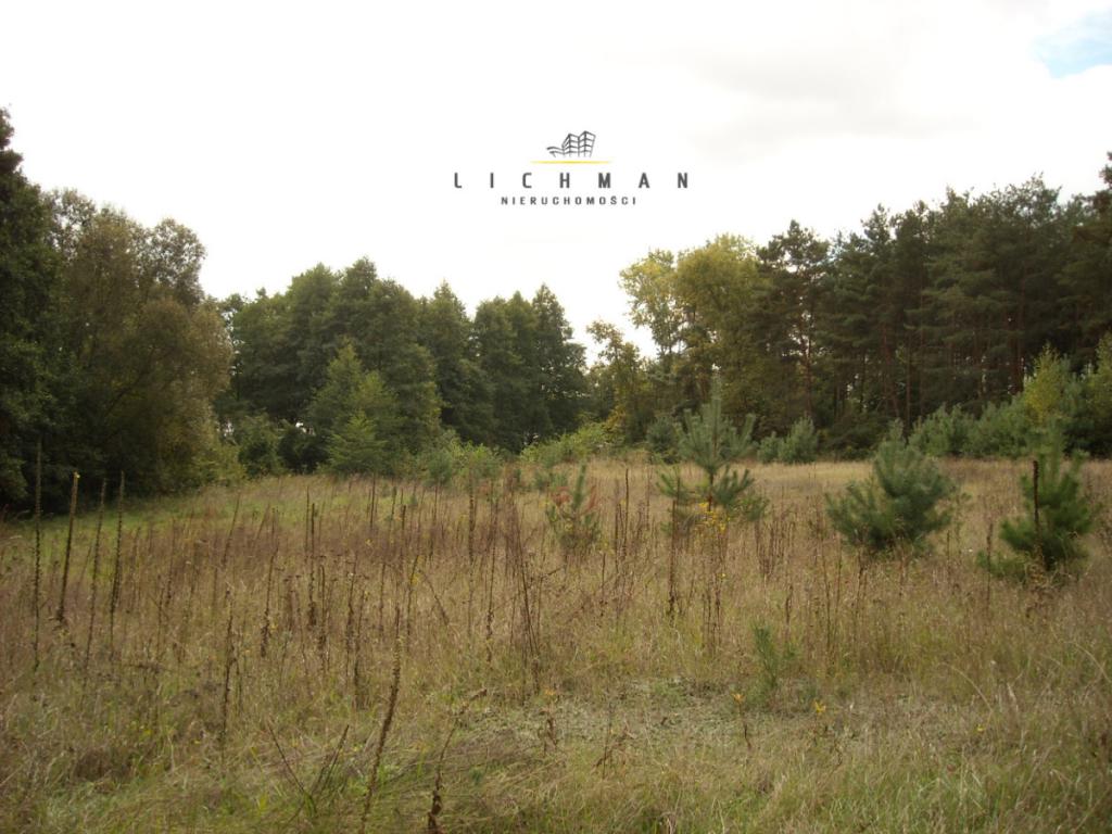 Działka leśna na sprzedaż Trojaczek - zdjęcie 8