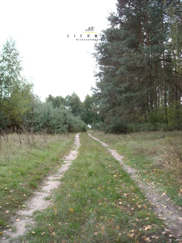 Działka leśna na sprzedaż Trojaczek - zdjęcie 11