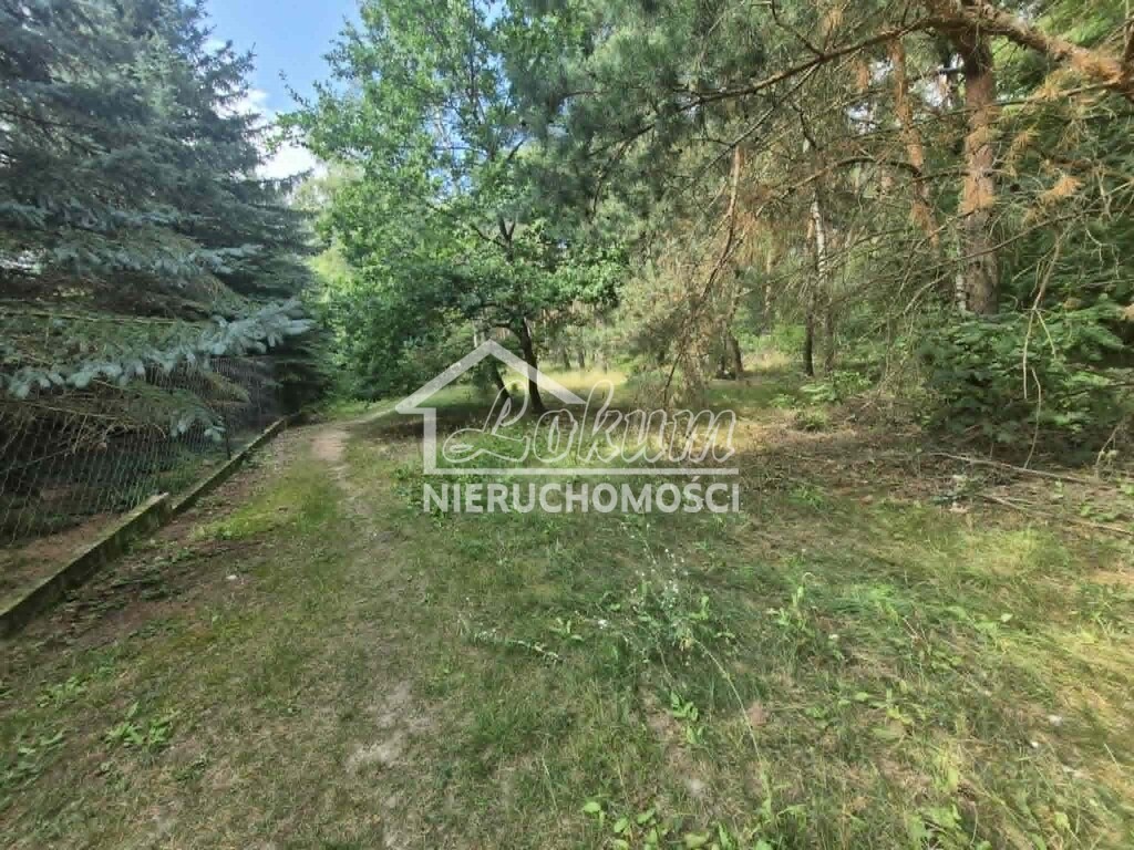 Dom 236,7 m², Pniewo, Bukowa - zdjęcie 16