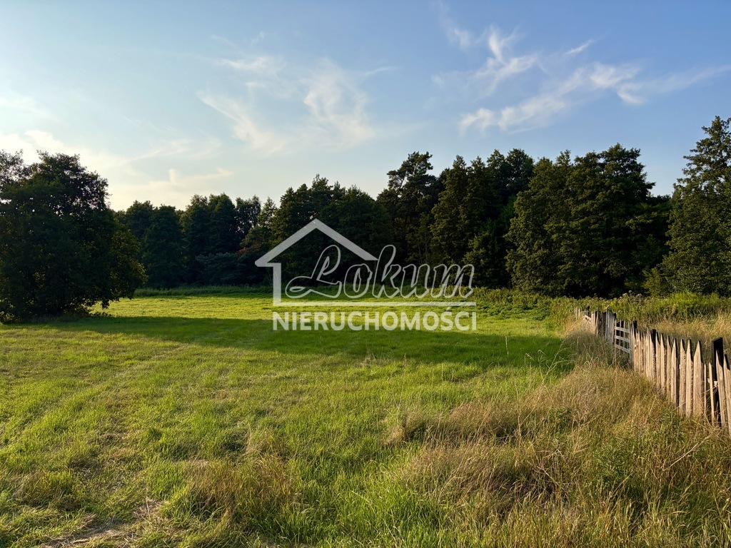 Działka budowlana 3300&nbsp;m², Tanowo - zdjęcie 3